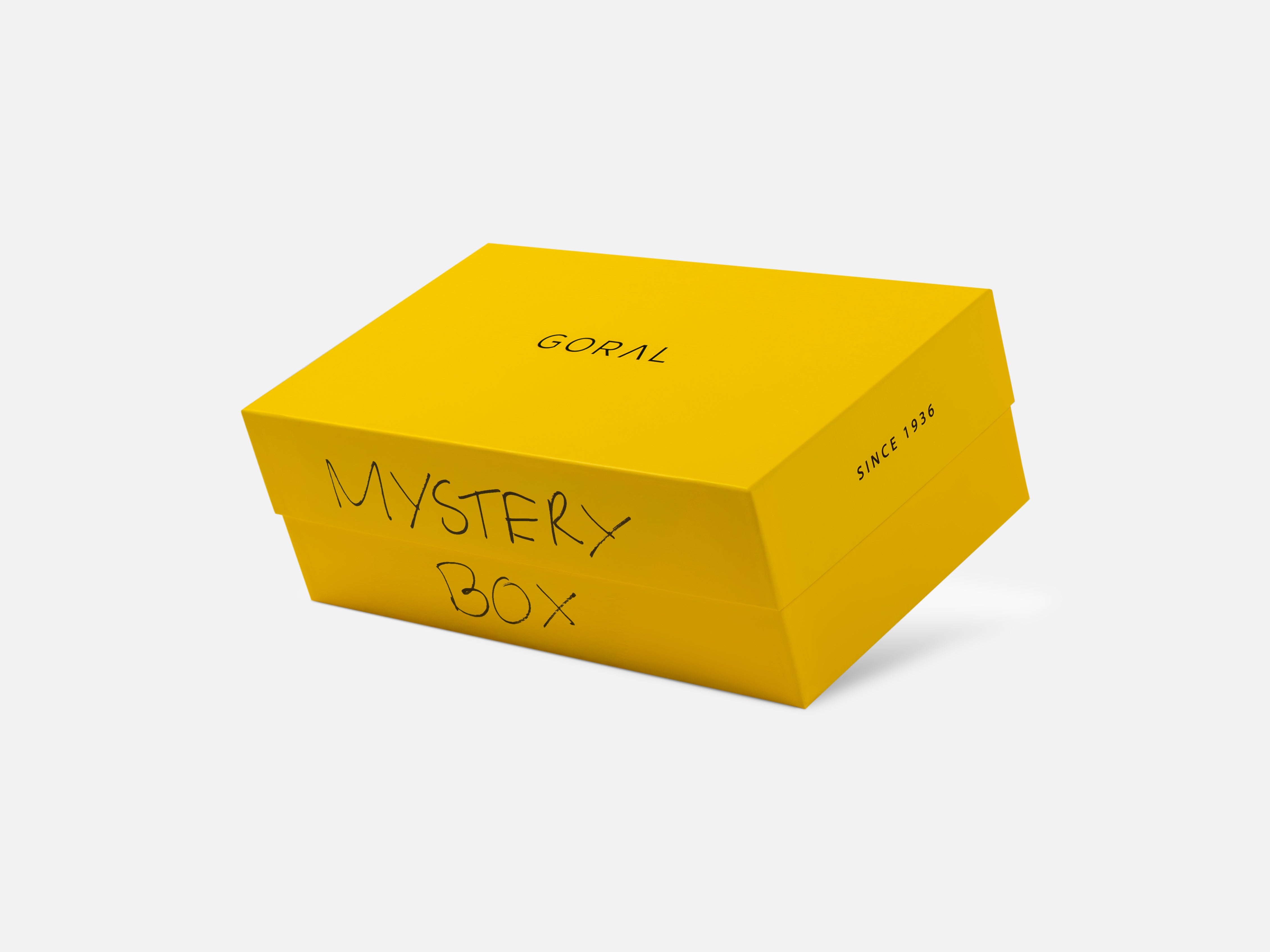 Mystery Box Leather Shoes - GORAL