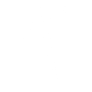 USP Two Image