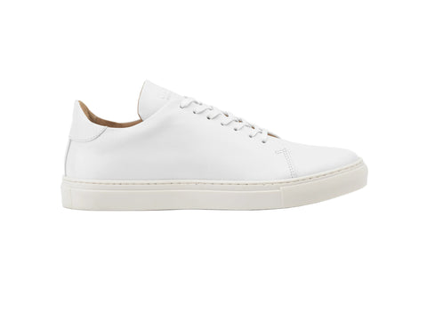 LOW TOP SNEAKERS